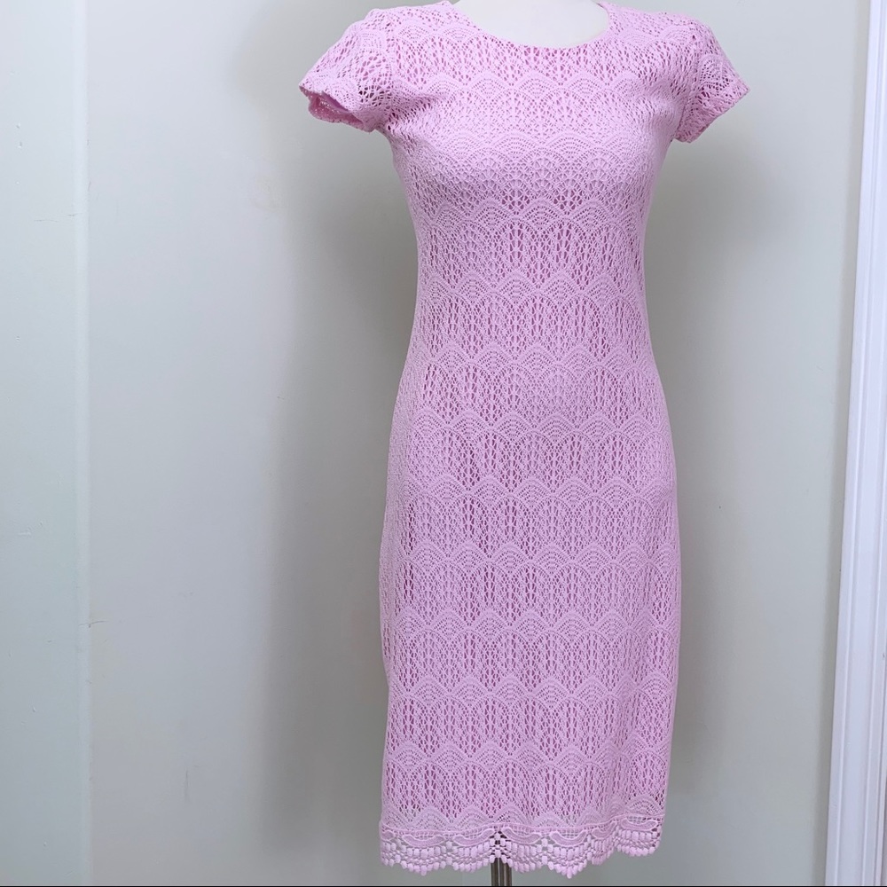 Downeast lace dress NWOT